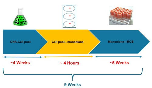 人工智能重塑细胞株开发 Klone 4.0引领细胞技术新纪元
