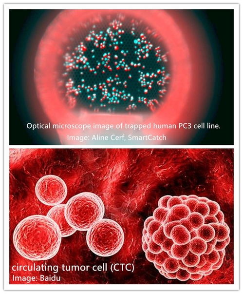 德国Nanoscribe超高精度双光子微纳3D打印设备 引领细胞技术研发与应用的革命
