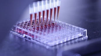 创新发展，记录改革——细胞技术研发与应用 创新中国的微观引擎