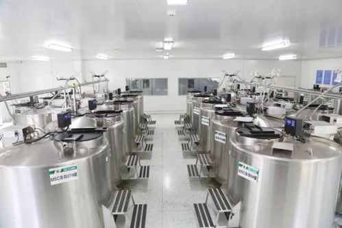 解锁青春密钥 细胞技术美容，告别产后衰老恐惧