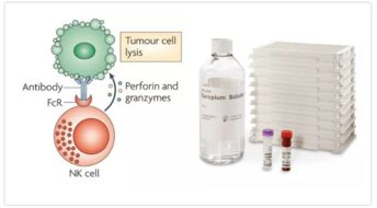 ADCC细胞技术在单抗研发与细胞治疗中的经典应用