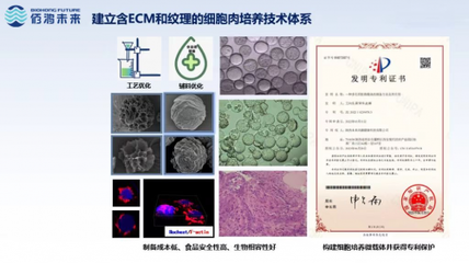 细胞培养肉技术新突破 佰鸿引领国际微载体诱导成肌技术，开创蛋白新篇章